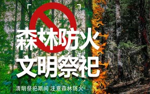 清明節：文明祭奠、預防火災